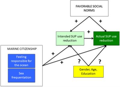 Enhancing marine citizenship as a strategy to promote the reduction of single-use plastics consumption in different cultures